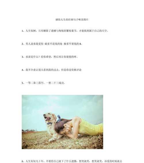 求人办事时如何运用唯美句子？这些句子有哪些特点和效果？