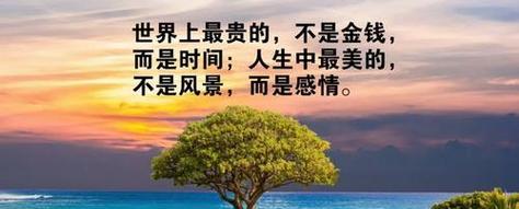 如何用唯美句子表达时间飞逝的感悟？