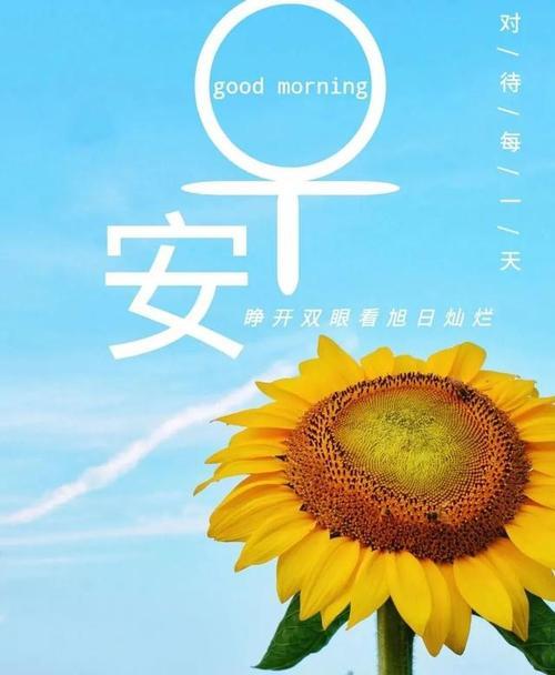 火焰蓝励志唯美句子有哪些？如何在日常生活中应用？