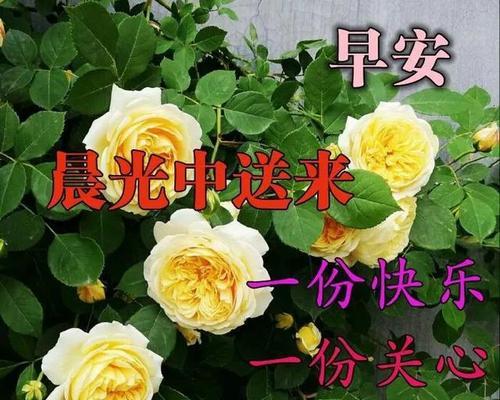 已婚相见恨晚的唯美诗句有哪些？如何表达相见恨晚的情感？