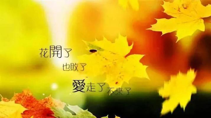 适合音乐发朋友圈的唯美句子有哪些？如何挑选合适的句子？