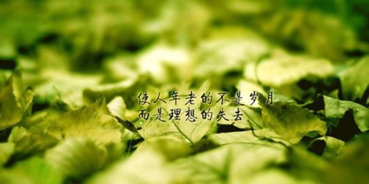 形容花香的唯美句子有哪些？如何用句子描绘花的香气？