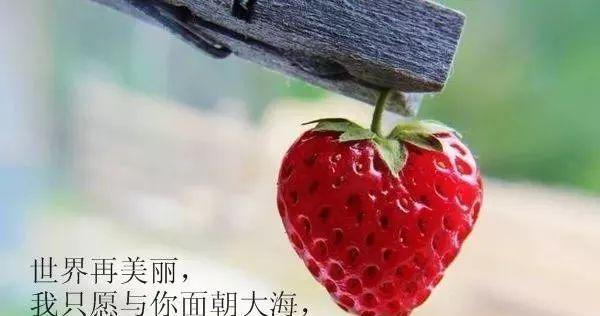 不理解人的唯美句子发朋友圈？如何表达内心深处的情感？