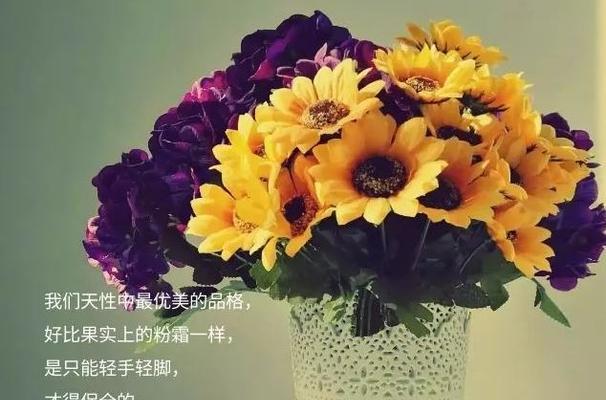 如何挑选适合发朋友圈的唯美句子？