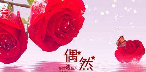 玫瑰花的浪漫唯美诗句有哪些？如何用诗句表达玫瑰的浪漫？