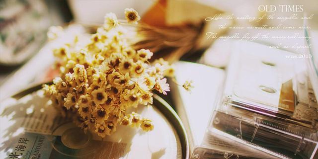 赞美丁香花的优雅唯美诗句有哪些？如何用诗句表达对丁香花的喜爱？