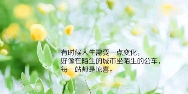 朋友圈卖货的经典唯美句子有哪些？如何巧妙运用提升销量？