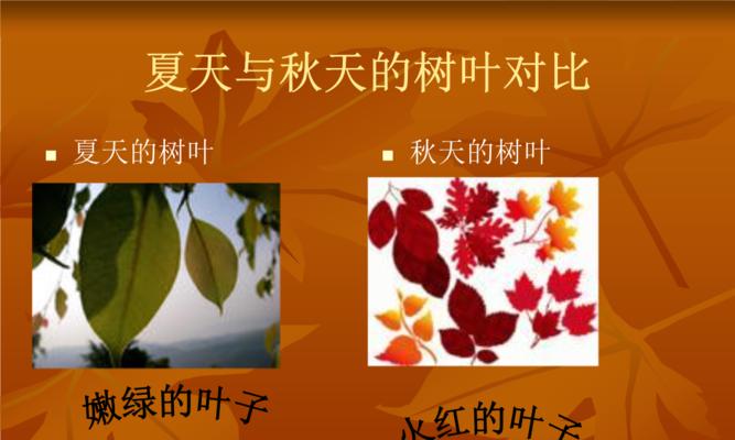 以秋天的树叶为题的作文400字（《初一秋天的树叶》）