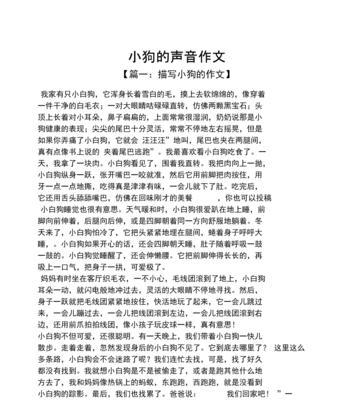 有关我的小狗的作文怎么写（《我们的小狗故事》）