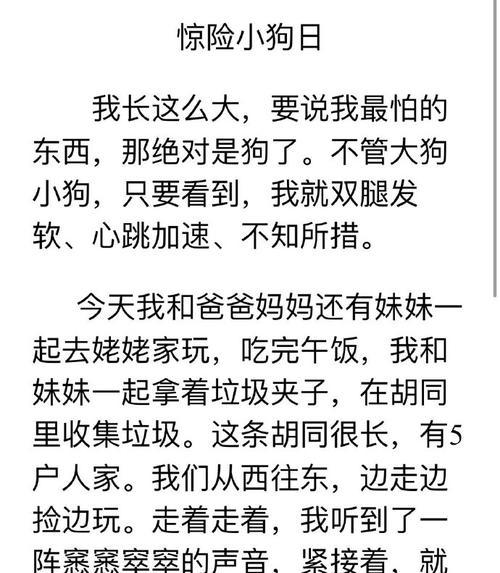 有关我的小狗的作文怎么写（《我们的小狗故事》）