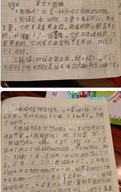 有关熊猫的作文怎么写（《追寻小熊猫的足迹》）