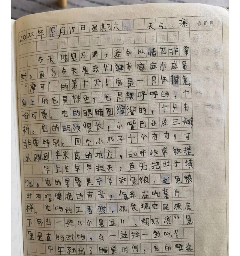 有关观察日记的作文怎么写（《关于玉兰花的自然美学》）