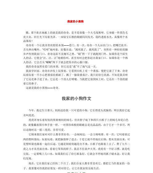 有关狗的作文600字左右怎么写（《与狗共度时光》）