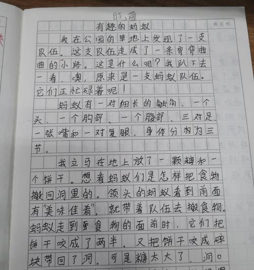 有关蚂蚁作文怎么命题（《寻找最珍贵的宝藏》）