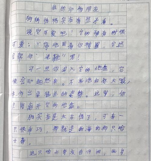 以会飞的母鸡为话题的作文怎么写（《会飞的母鸡——寻找自由》）