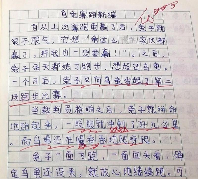 龟兔赛跑新编的作文怎么写（《跑出人生的平衡点》）