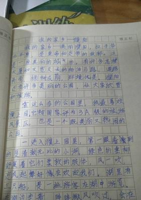 关于我爱家乡的作文怎么写（《热闹非凡的家乡元宵节》）