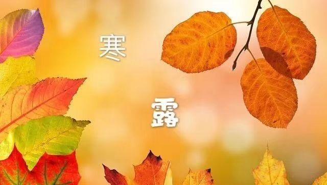 寒露祝福语唯美句子有哪些？如何用寒露祝福语表达心意？
