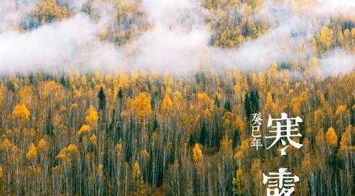 寒露祝福语唯美句子有哪些？如何用寒露祝福语表达心意？