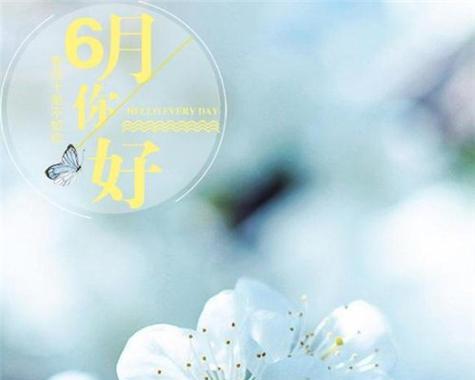 六月祝福唯美句子有哪些？如何用句子表达六月的美好祝福？