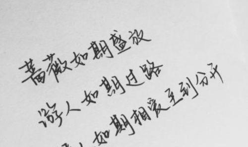 拍了拍后面怎么加有意思的唯美句子？有哪些创意示例？