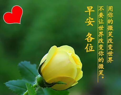 六月祝福语唯美句子有哪些？如何挑选适合的祝福语？