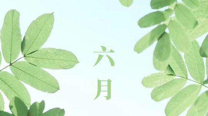 六月祝福语唯美句子有哪些？如何挑选适合的祝福语？