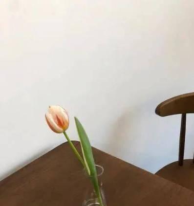 空杯心态唯美句子有哪些？如何用空杯心态提升生活品质？