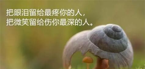医生职责唯美句子是什么？如何在日常工作中体现？