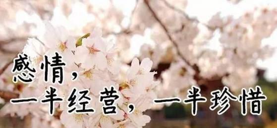 微信拍一拍撩人唯美句子怎么设置？8个字的有哪些？