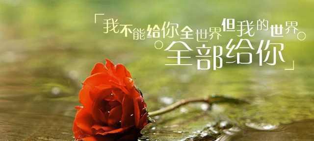 露营心情说说朋友圈唯美句子怎么写？分享哪些句子能打动人心？