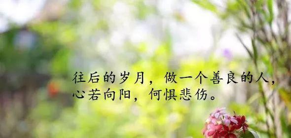 极度清醒的人生语录唯美句子有哪些？如何在生活中应用？