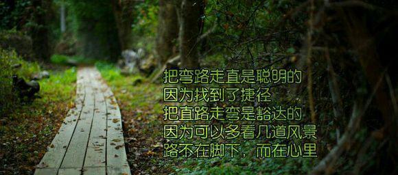 一眼就沦陷的励志唯美句子有哪些？如何找到这些句子？