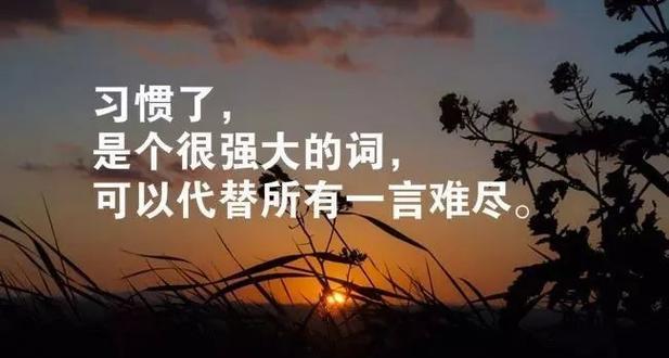 蕴含正能量的唯美句子有哪些？如何在日常生活中应用？