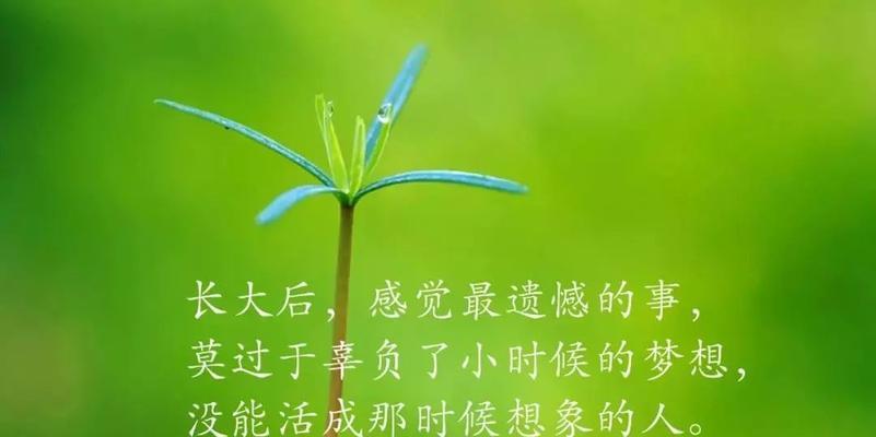2023毕业朋友圈怎么写？有哪些简短好句推荐？