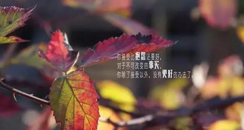 再坚持一下一切会好的句子有哪些？如何在困难时刻找到正能量？