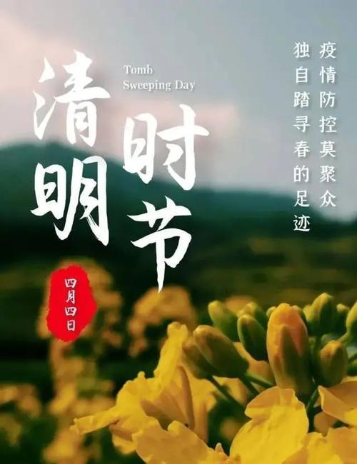 清明扫墓时如何表达哀思？有哪些感人的说说句子推荐？