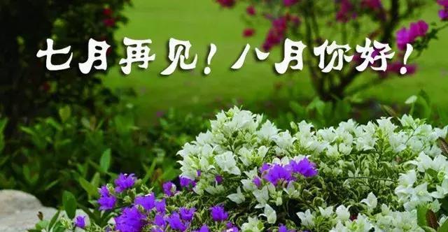 七月很好八月会更好唯美句子？如何用这些句子表达对未来的美好期待？
