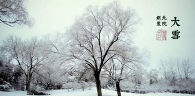 第一场雪怎么形容（《雪落花城》）