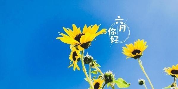 六月你好说说吸引人的那种（享受美好时光，细品自然韵味）