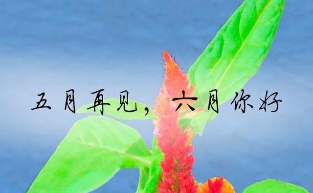 六月你好说说吸引人的那种（这个夏天，我们一起穿上轻薄衣裳，走向自由）