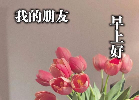 六月的祝福语怎么说（六月的微风轻轻拂过）