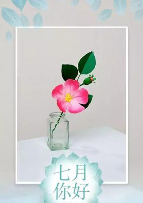 六月的祝福语怎么说（六月的微风轻轻拂过）
