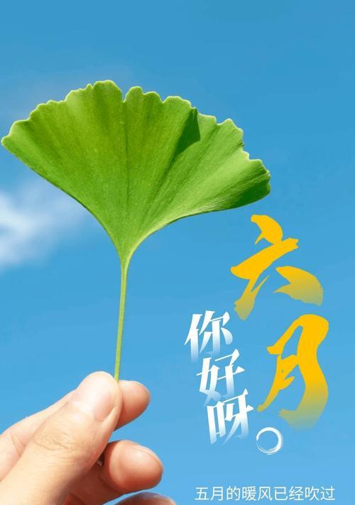六月的祝福语怎么说（六月的微风轻轻拂过）