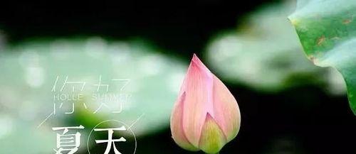 六月你好说说吸引人的那种（《六月你好》——迎接初夏的美丽）