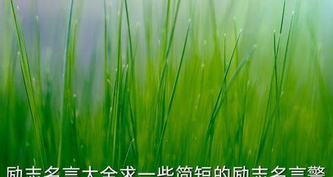 不去耕耘不去播种（奋斗者的名言警句）