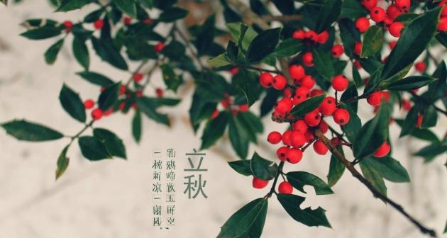 关于立秋怎么发朋友圈（"用诗意唤醒心灵，走过一年四季"）