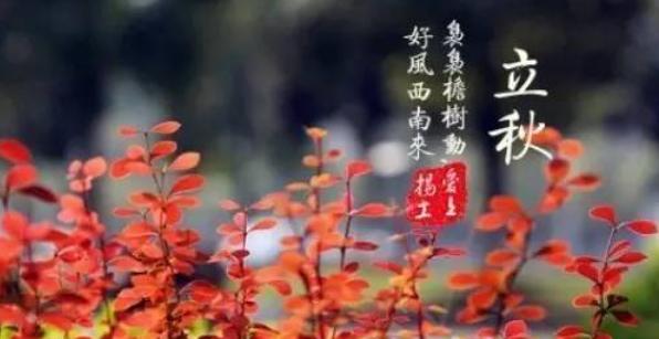 关于立秋怎么发朋友圈（"用诗意唤醒心灵，走过一年四季"）