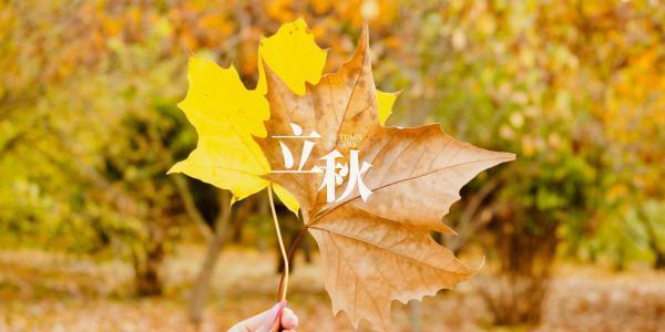 关于立秋怎么发朋友圈（立秋唯美短句，诉说心情）