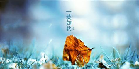 关于立秋怎么发朋友圈（立秋唯美短句，诉说心情）